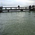 Le port